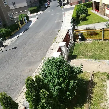 Flóra *