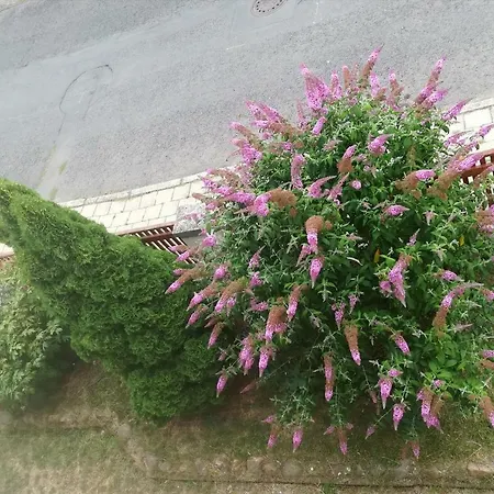 Apartamento Flóra