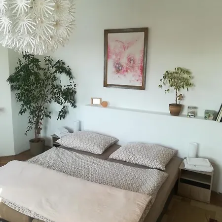 Flóra Apartamento